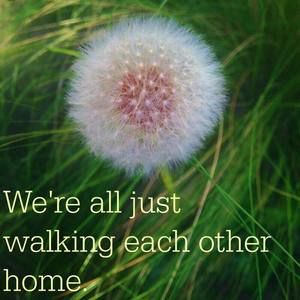 Meet your Posher, Violet